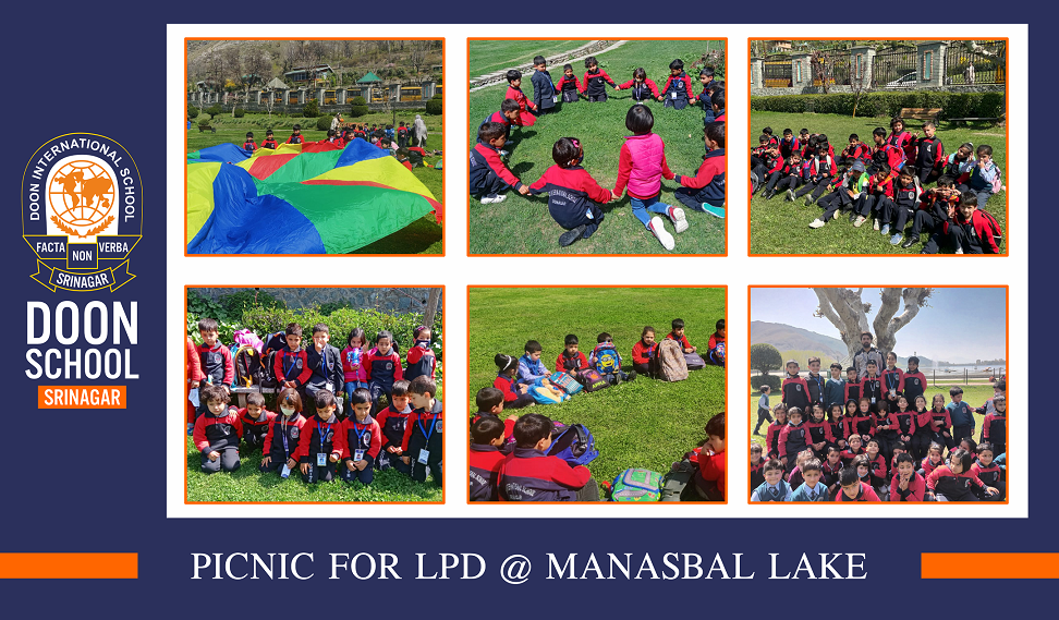 Picnic for LPD