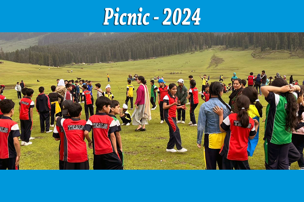 Picnic-2024