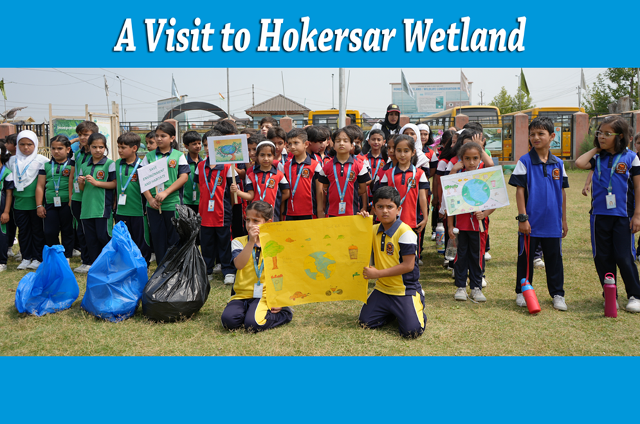 A Visit to Hokersar Wetland