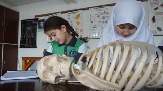 A day in the  Biology Lab