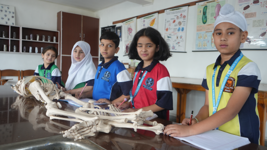 A day in the  Biology Lab