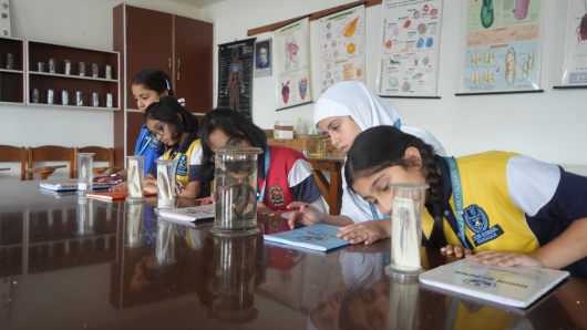 A day in the  Biology Lab