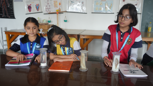 A day in the  Biology Lab